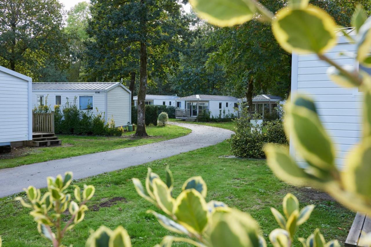 Monterblanc Mobil Home Xxl 4 Chambres - Camping Les Jardins Du Morbihan מראה חיצוני תמונה